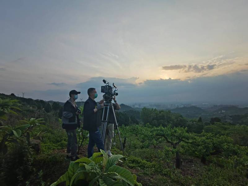 创意破圈！武陟县电商产品宣传视频用故事化叙事引爆流量